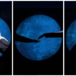 Laura & Rahmat Januari 2026 (8)