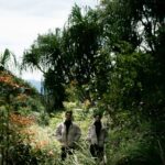 Mega & Guva Februari 2026 (7)