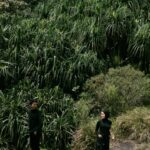 Mega & Guva Februari 2026 (8)